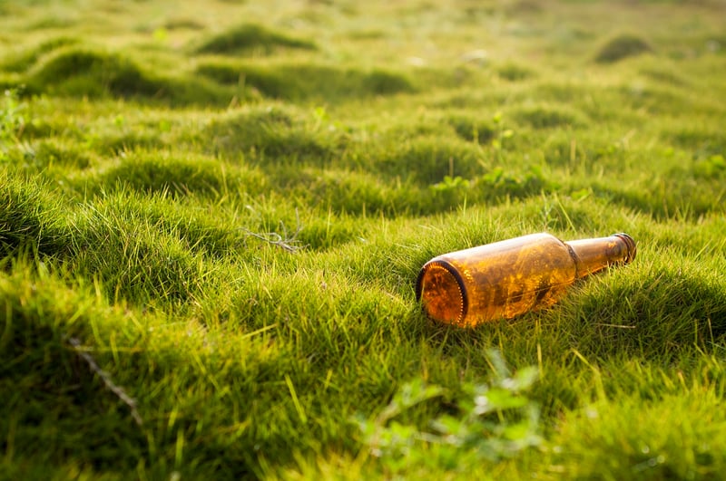 Environmental Crafts